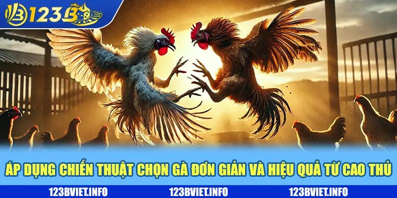 Áp dụng chiến thuật chọn gà đơn giản và hiệu quả từ cao thủ