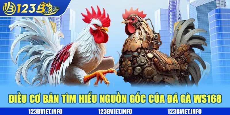 Điều cơ bản tìm hiểu nguồn gốc của đá gà WS168