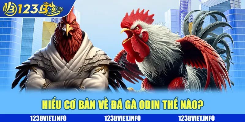 Hiểu cơ bản về đá gà Odin thế nào?