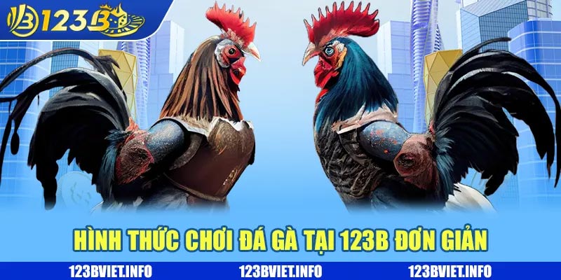 Hình thức chơi đá gà tại 123B đơn giản